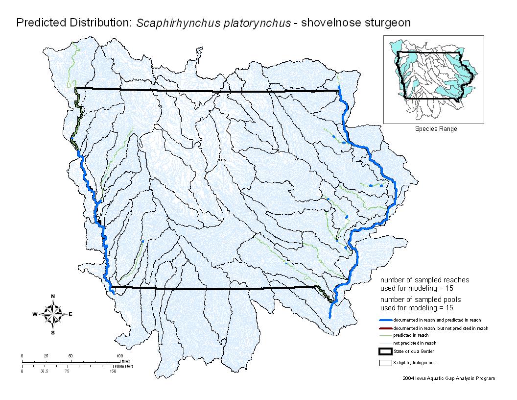 Iowa water body distribution image of Shovelnose sturgeon