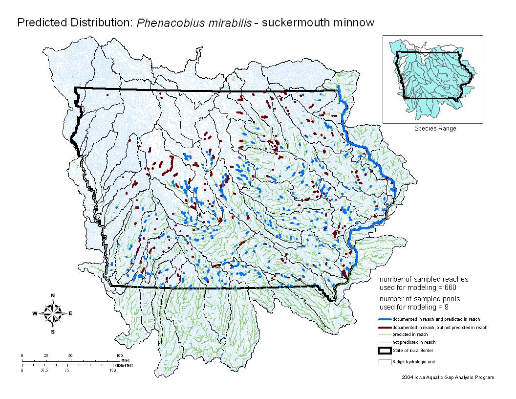 Iowa water body distribution image of Suckermouth minnow