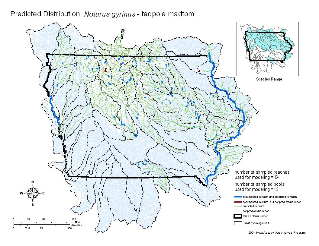 Iowa water body distribution image of Tadpole madtom