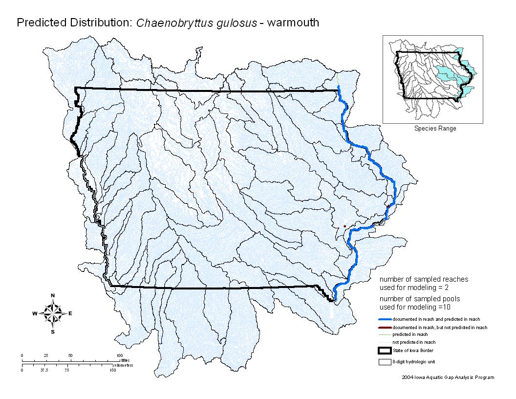 Iowa water body distribution image of Warmouth