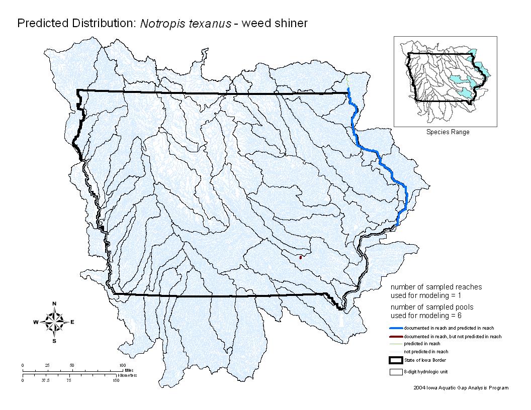 Iowa water body distribution image of Weed shiner