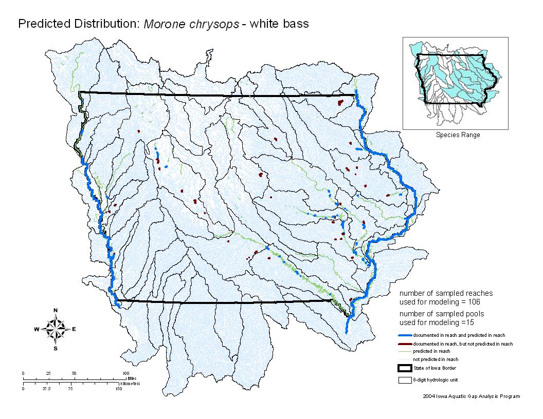 Iowa water body distribution image of White Bass