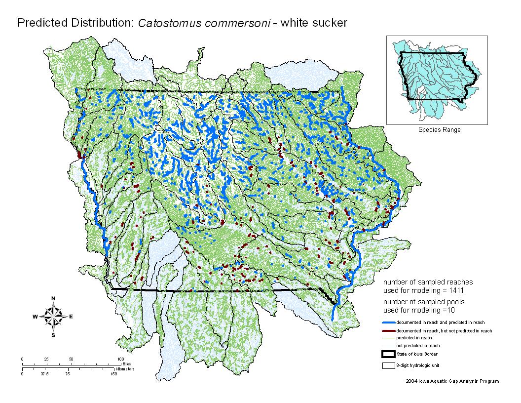 Iowa water body distribution image of White Sucker