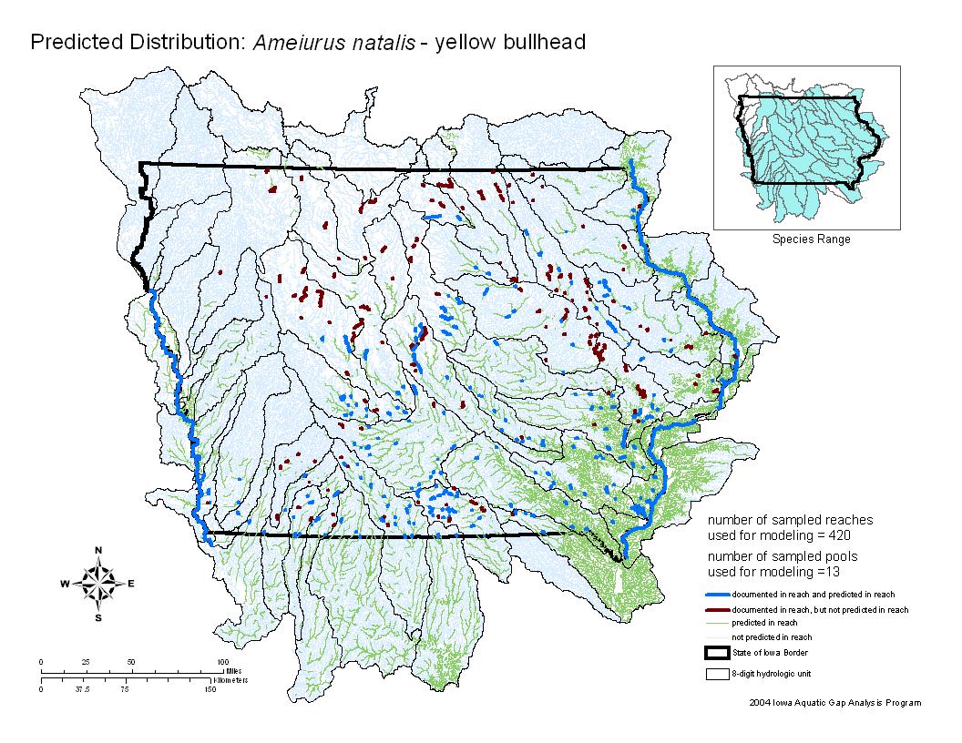 Iowa water body distribution image of Yellow Bullhead