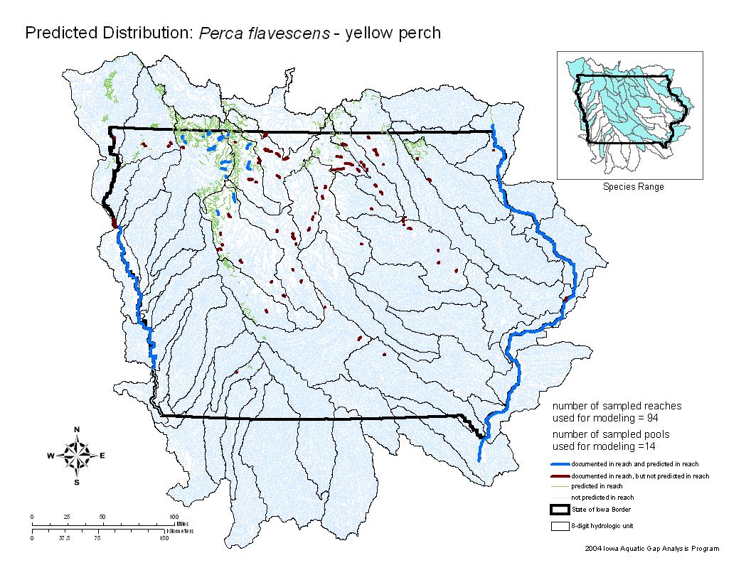 Iowa water body distribution image of Yellow Perch