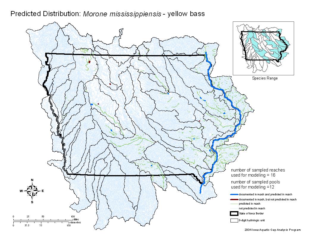 Iowa water body distribution image of Yellow Bass