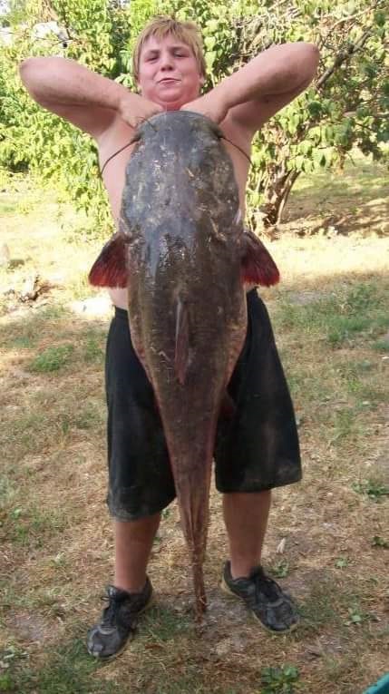 fish