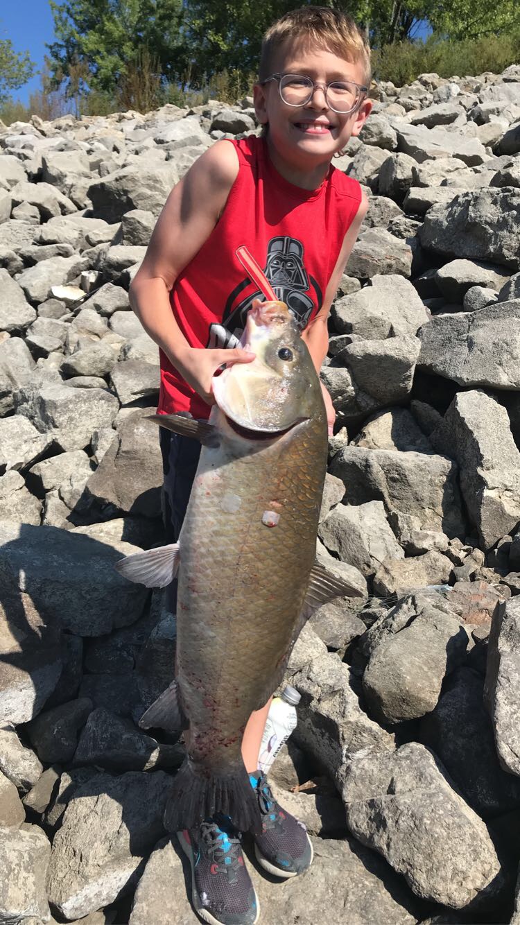 fish