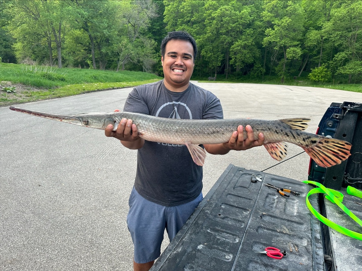fish