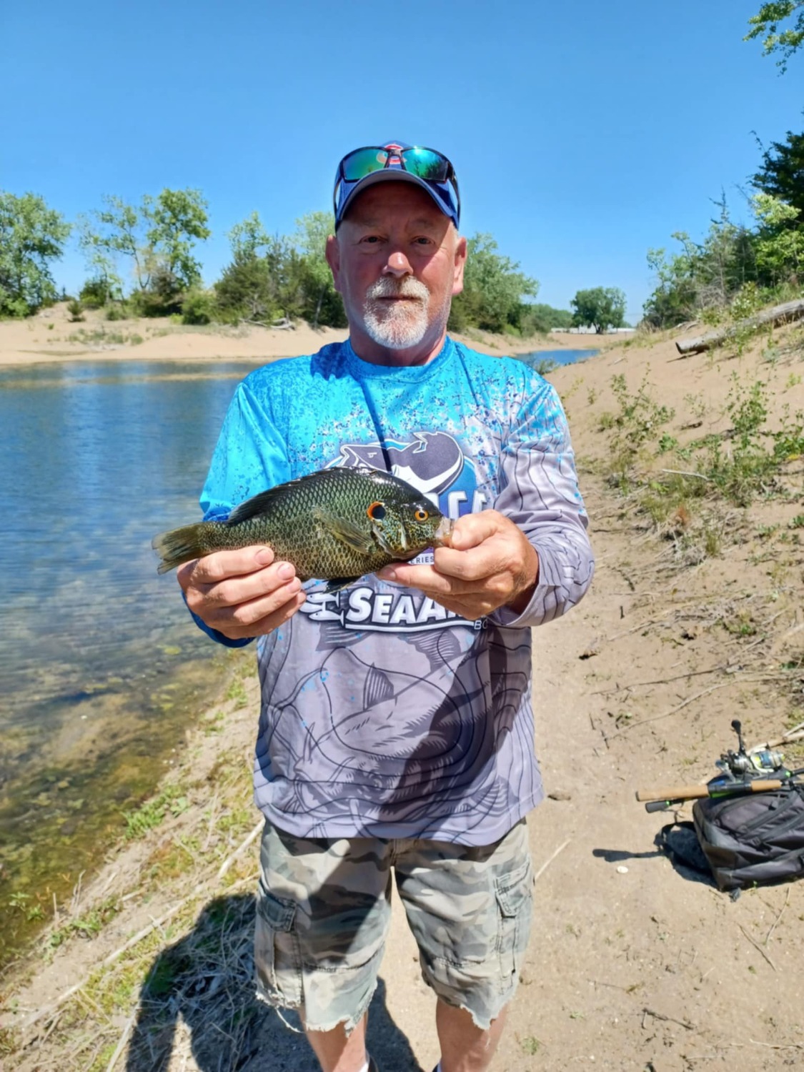 fish