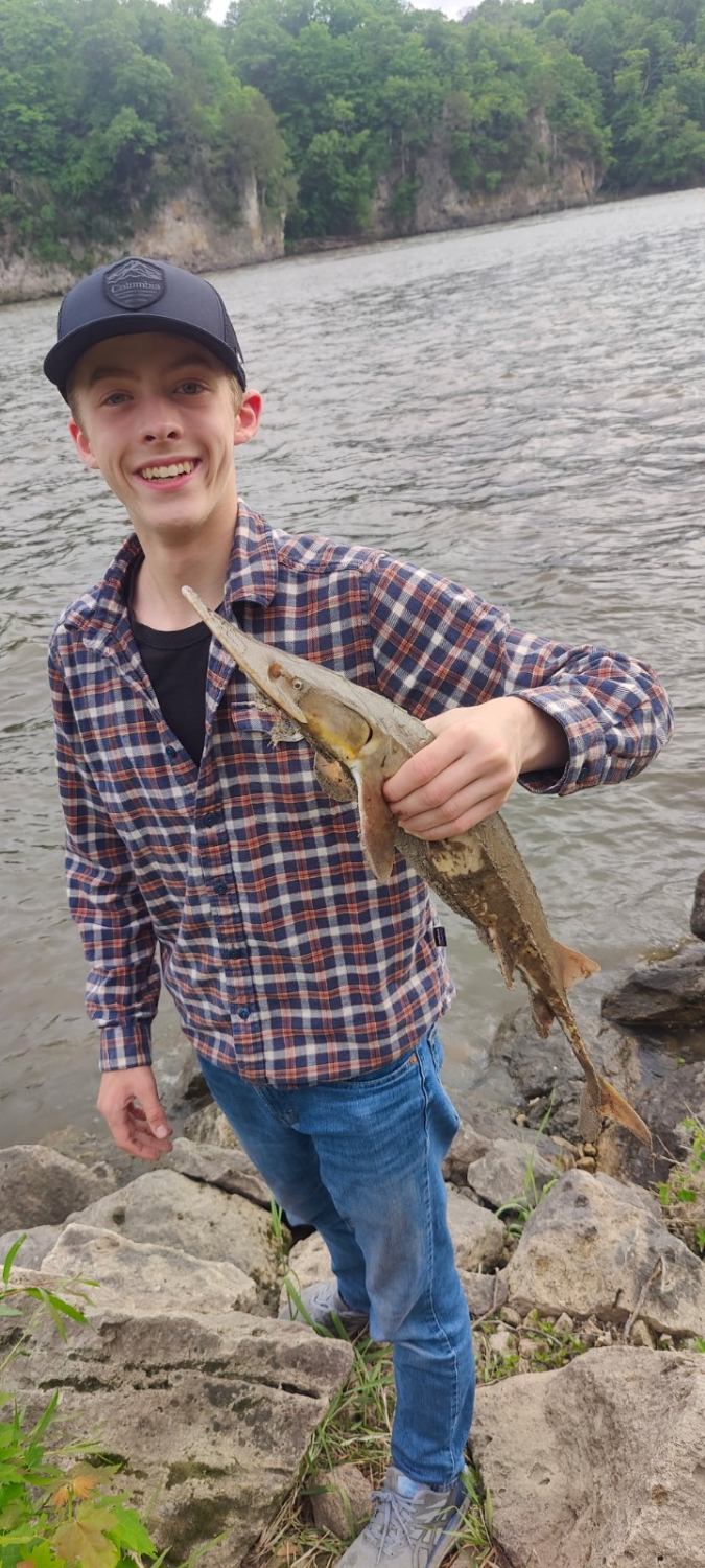 fish