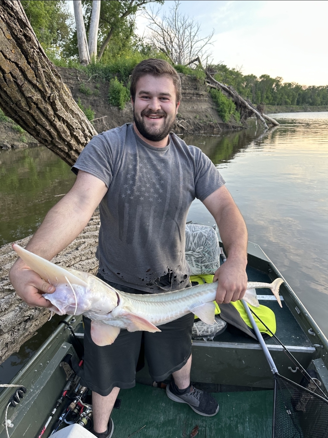 fish