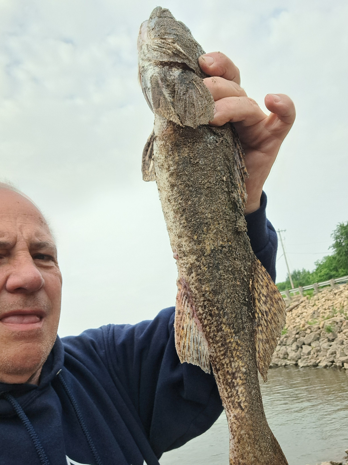 fish