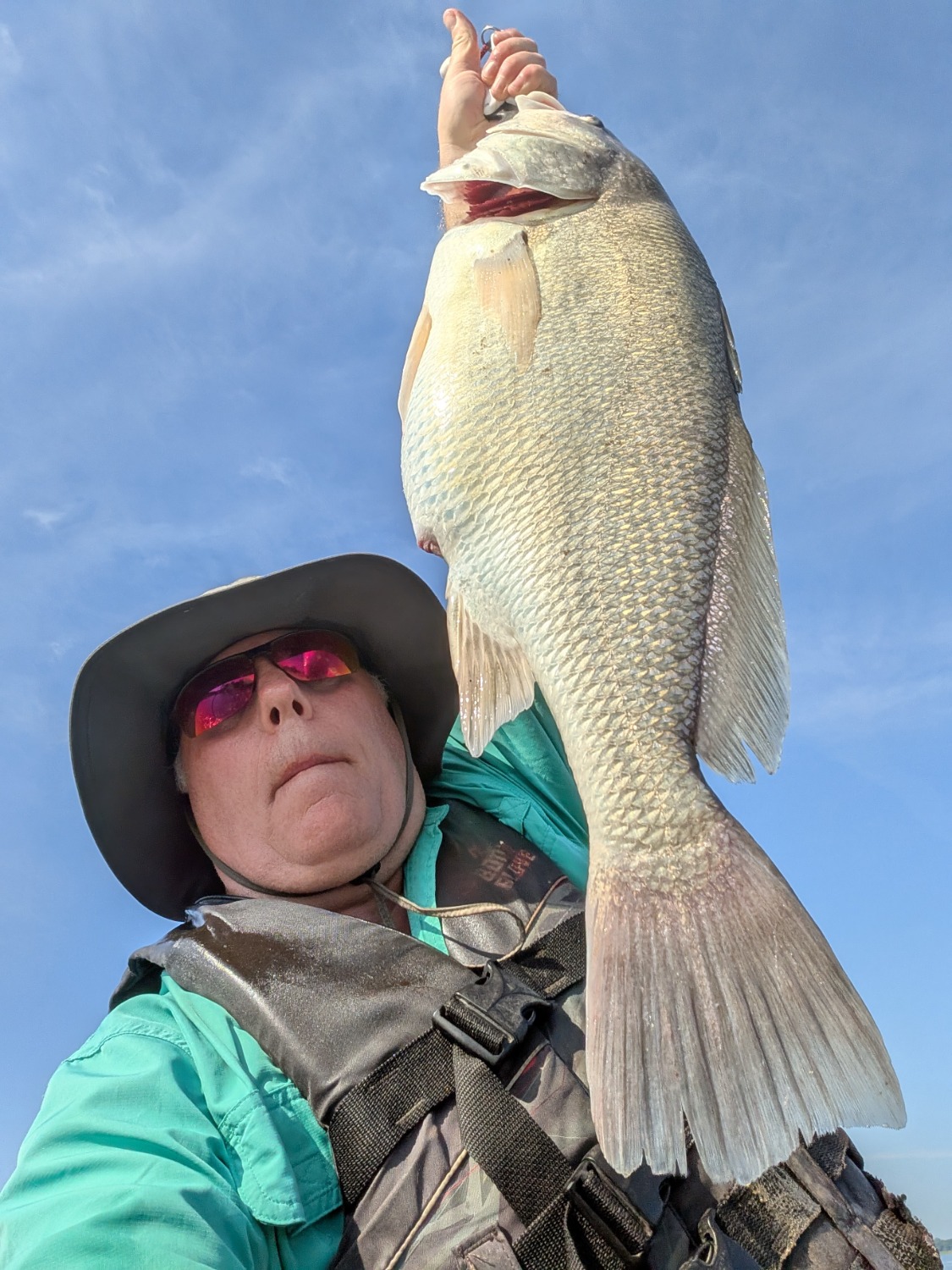 fish