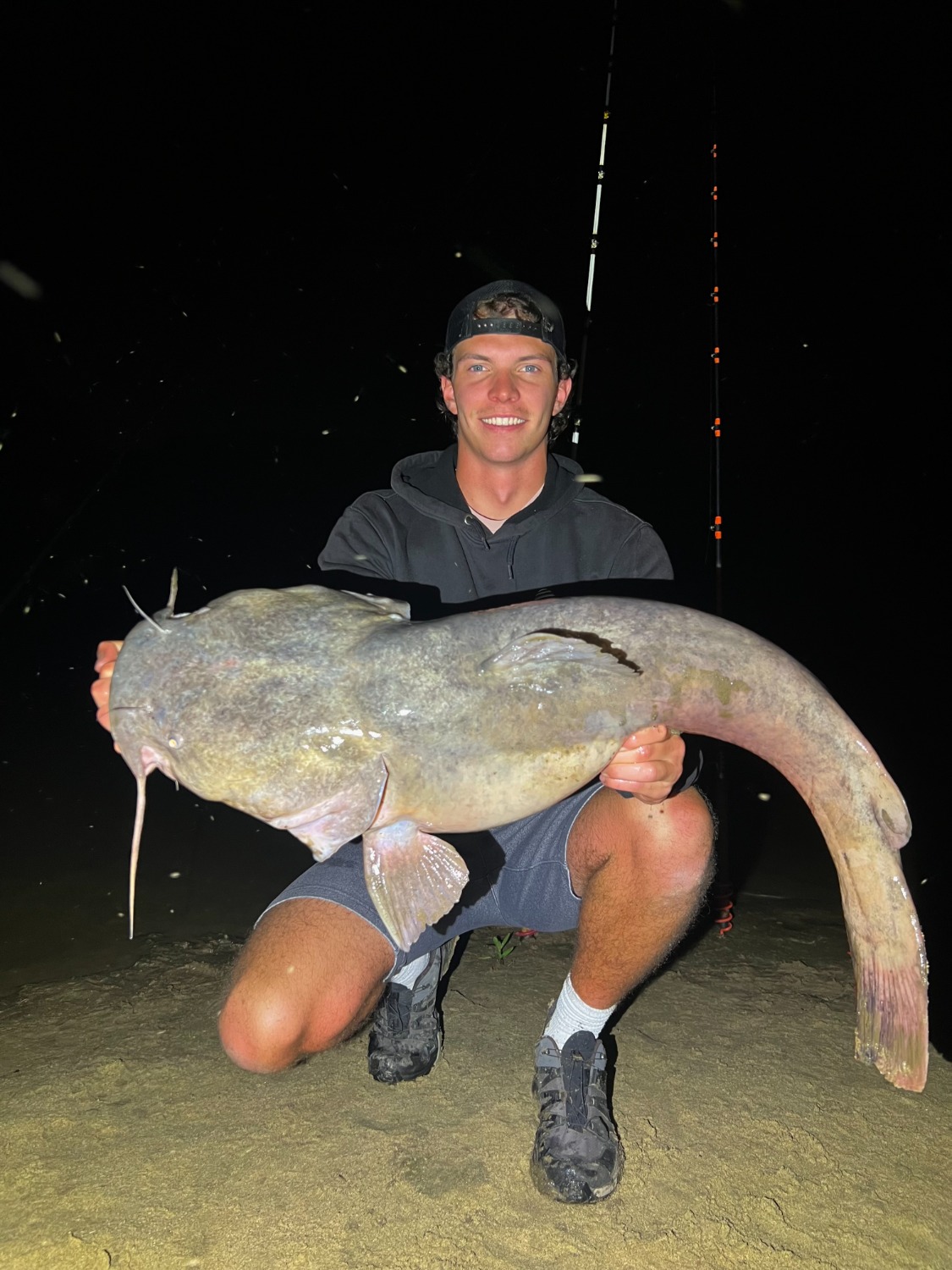 fish