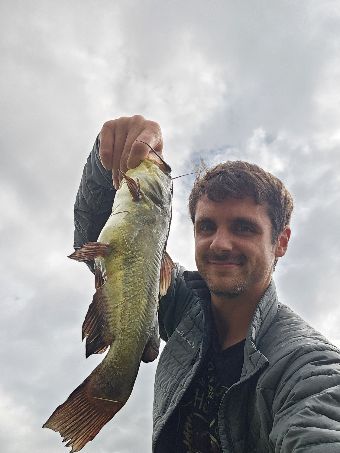 fish