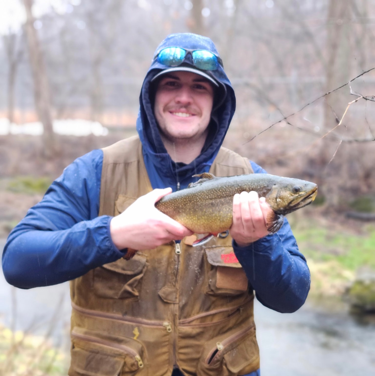 fish