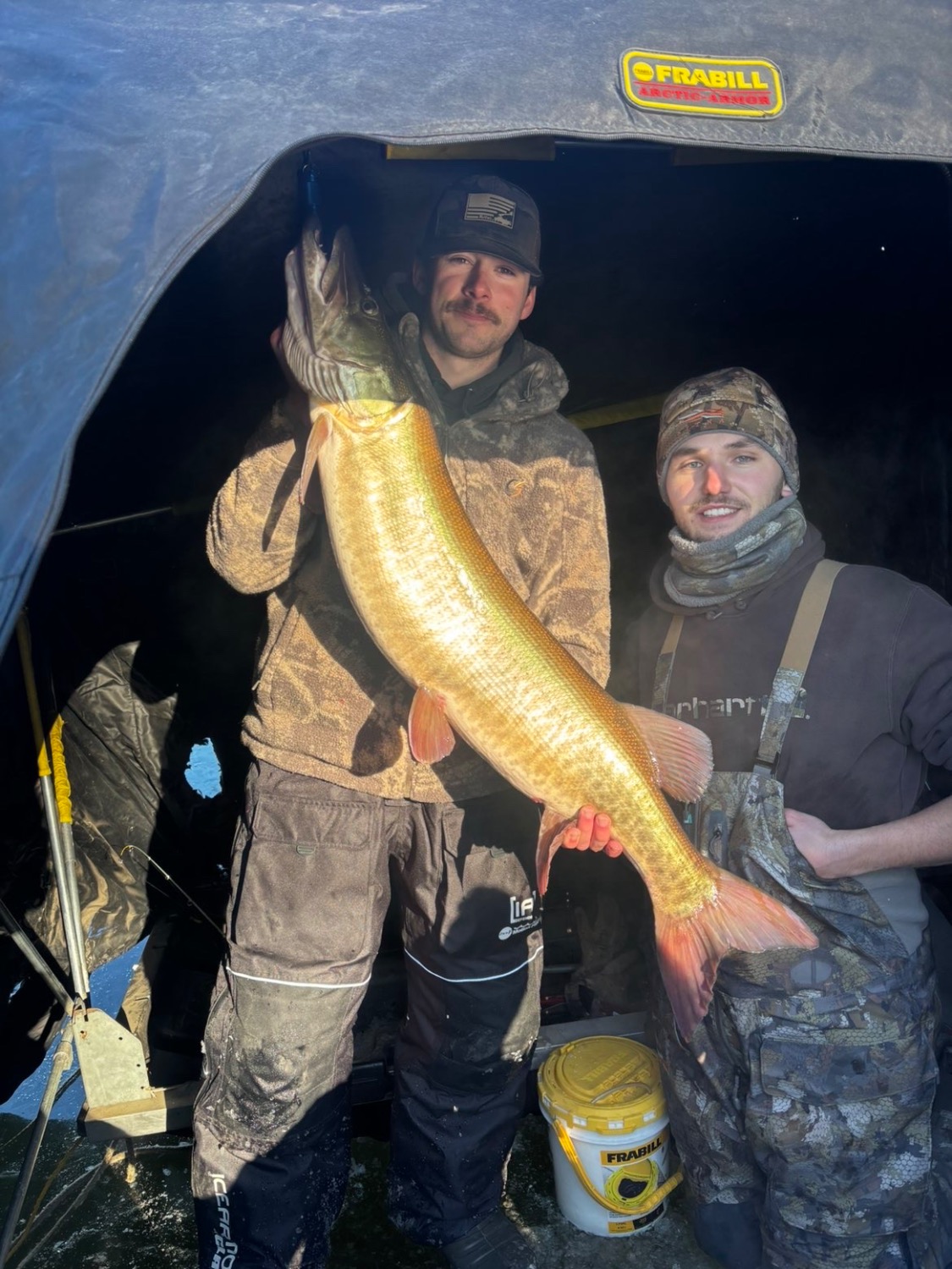 fish