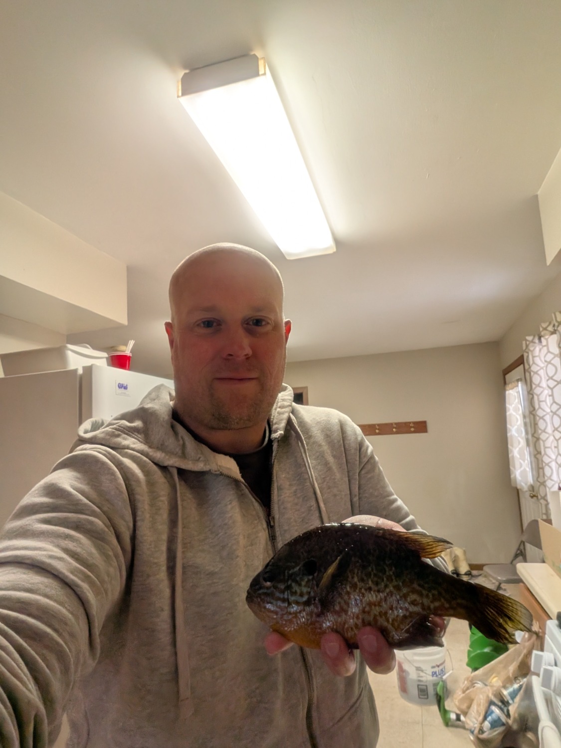 fish