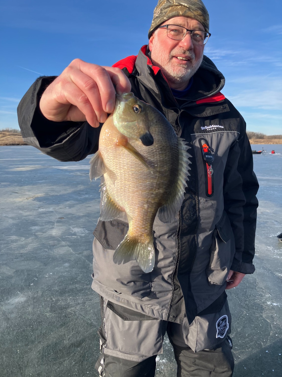 fish