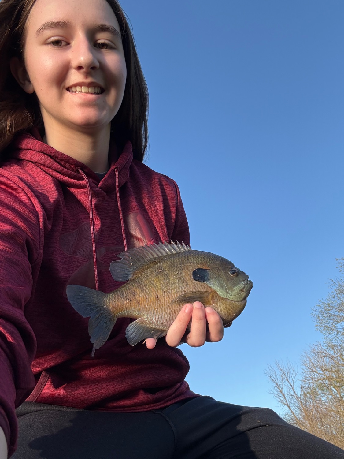 fish
