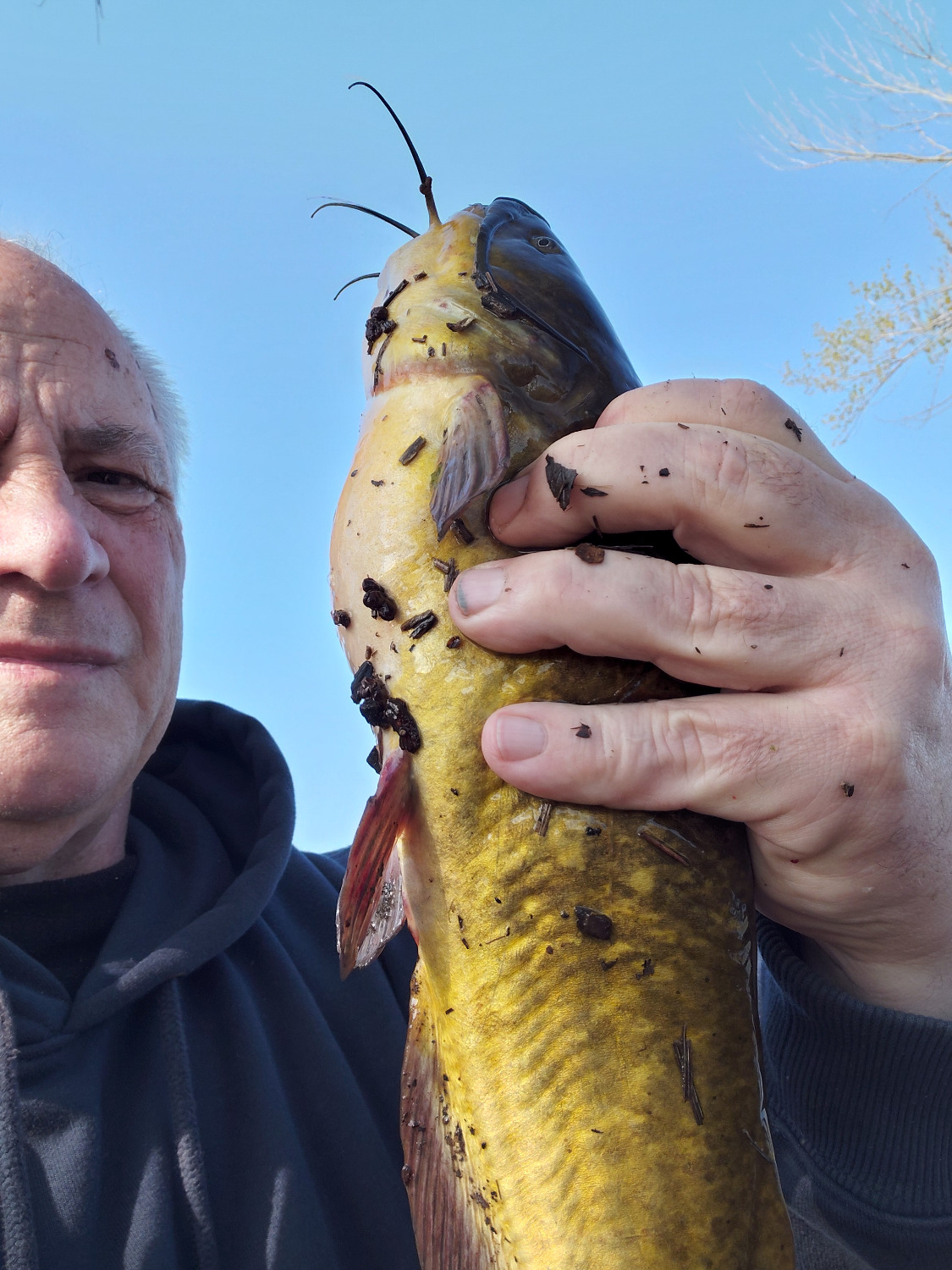 fish