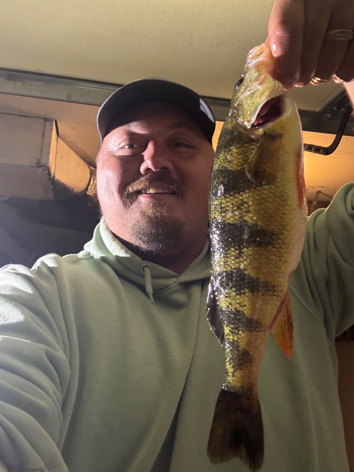 fish