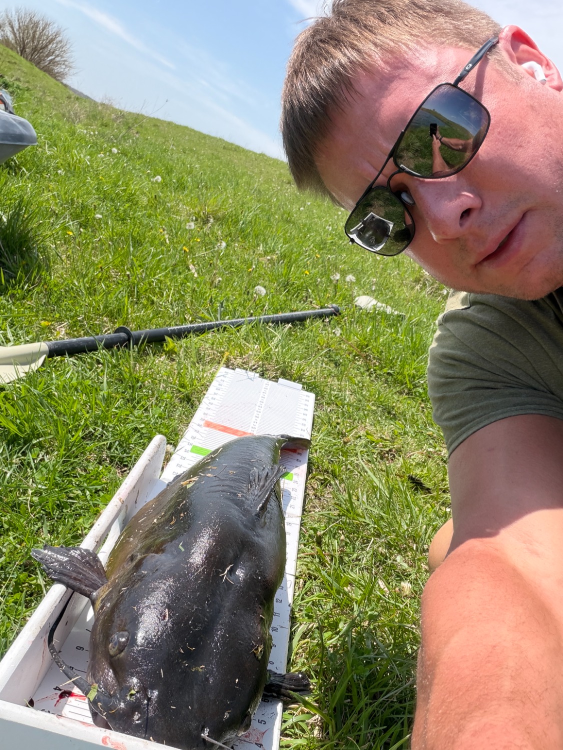 fish