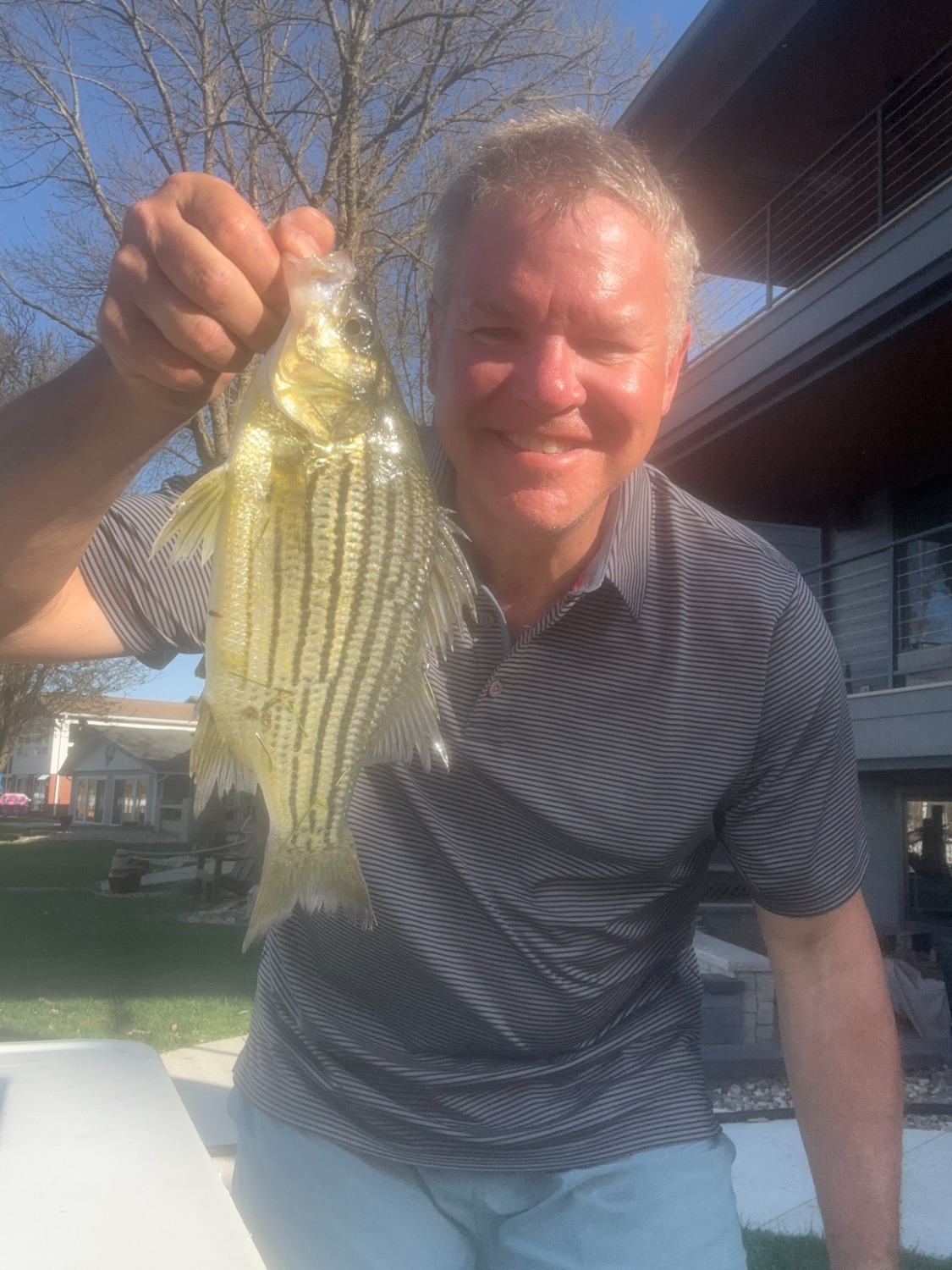fish