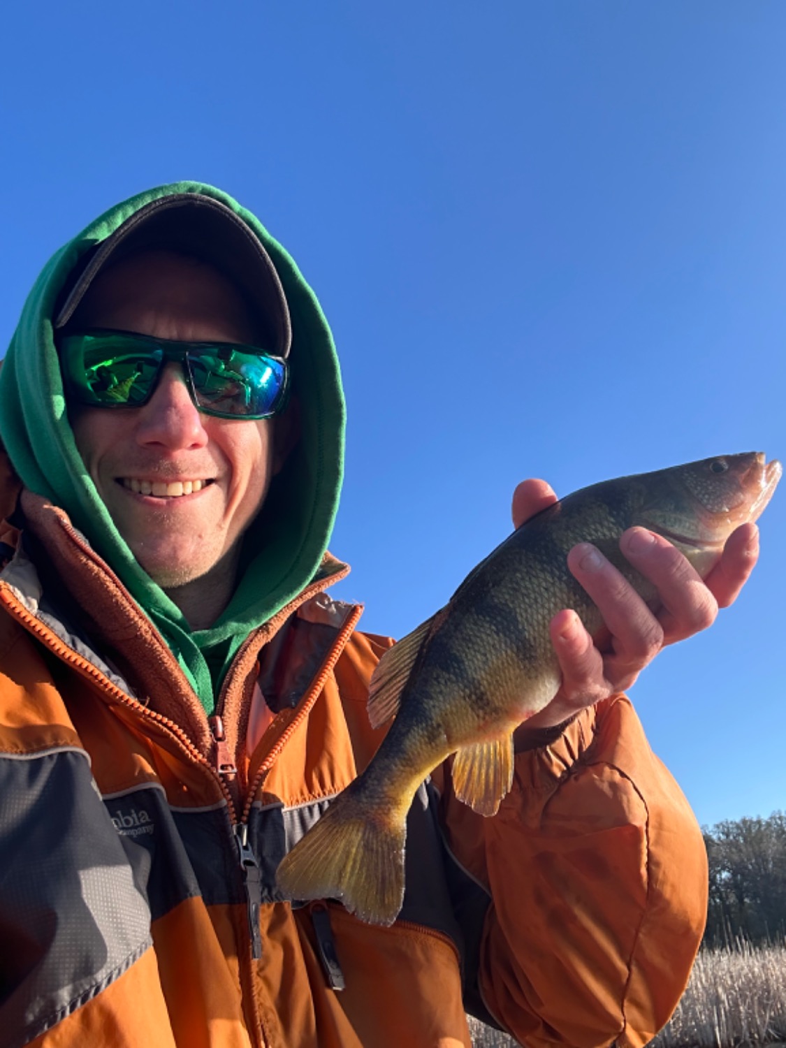 fish