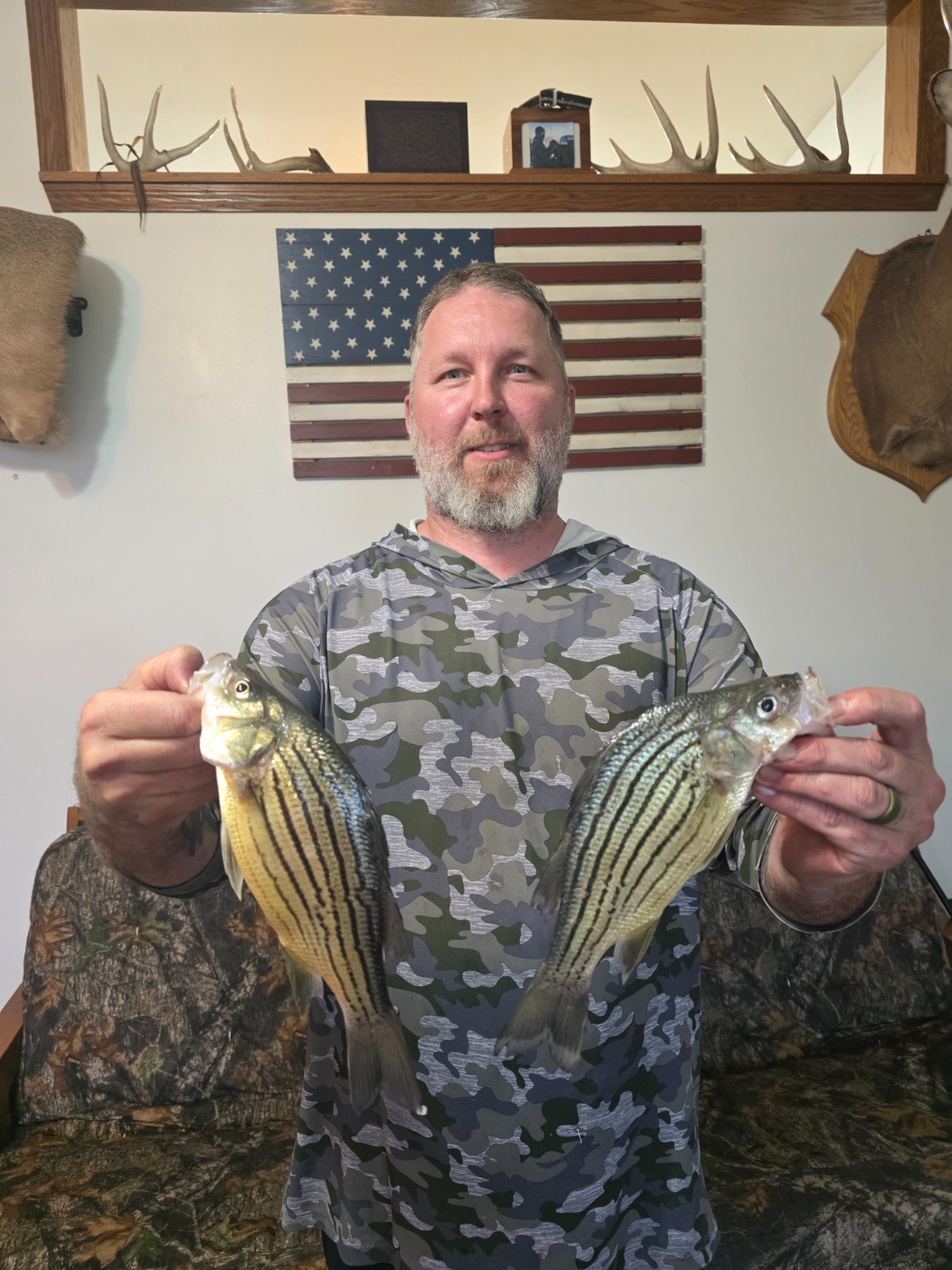fish