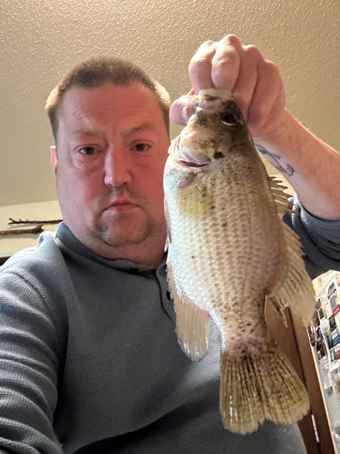 fish