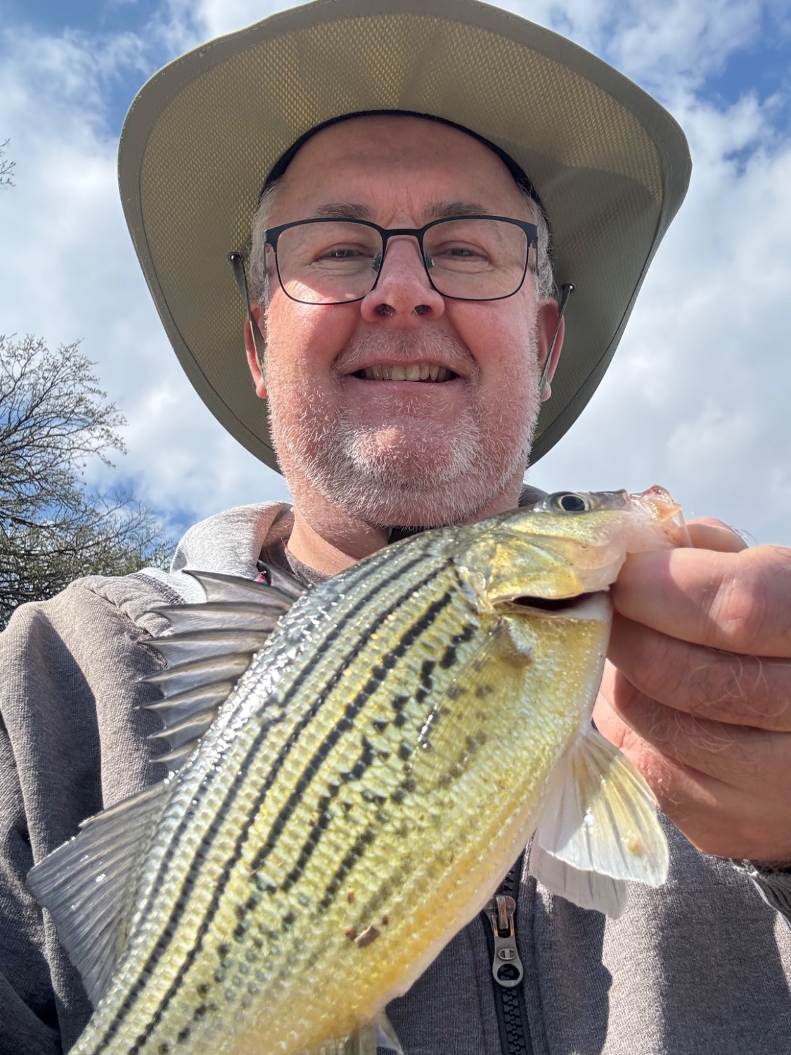 fish