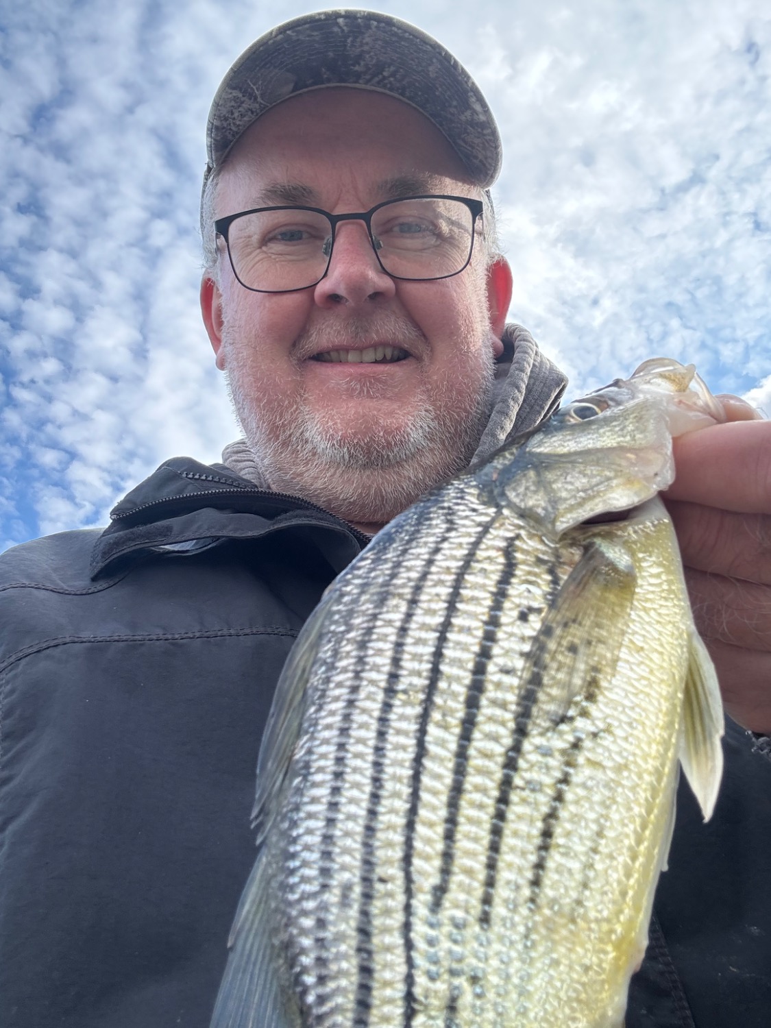 fish