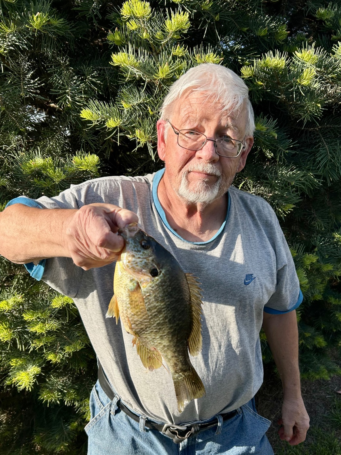 fish