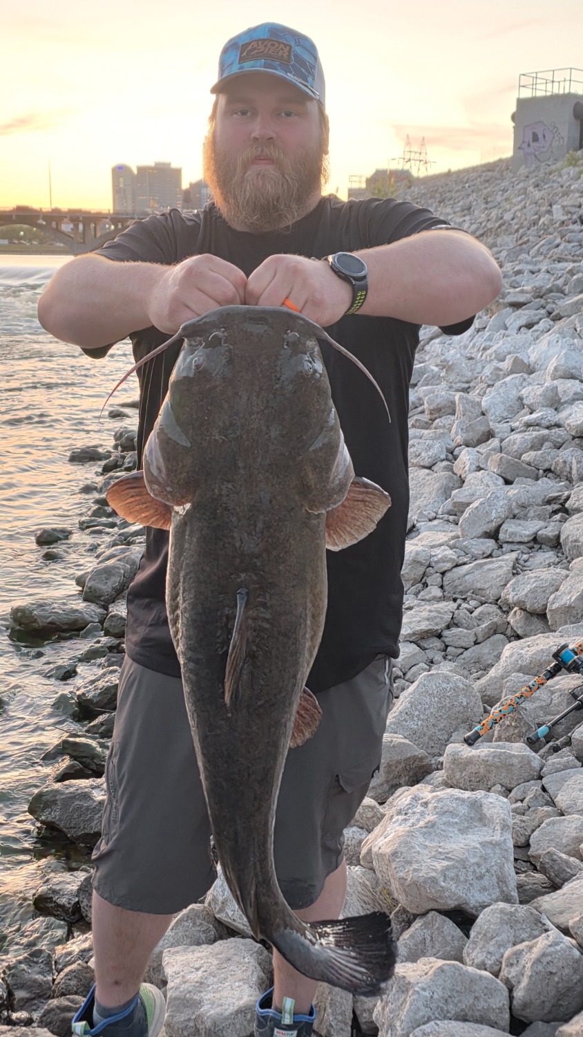 fish