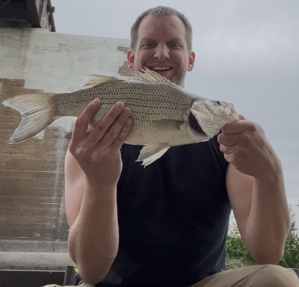 fish