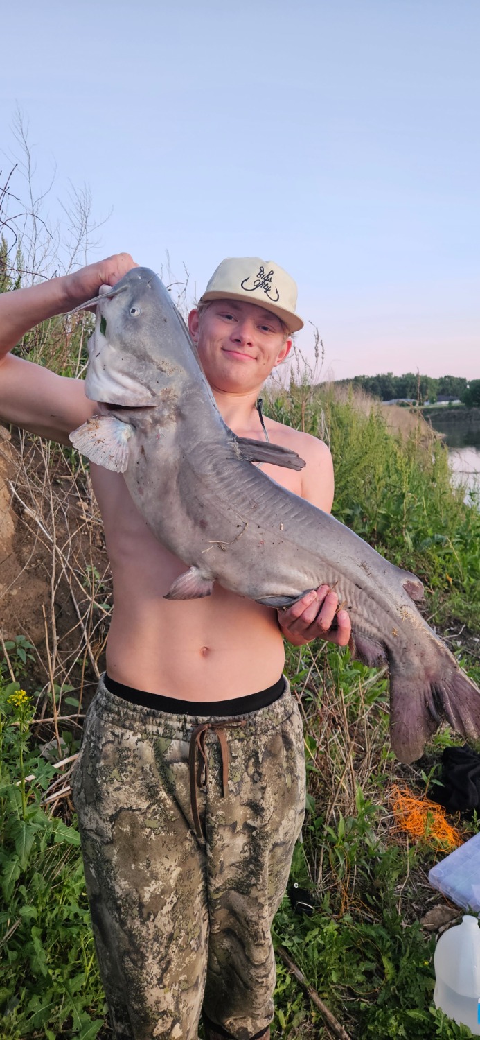 fish