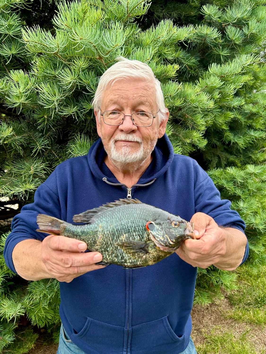 fish