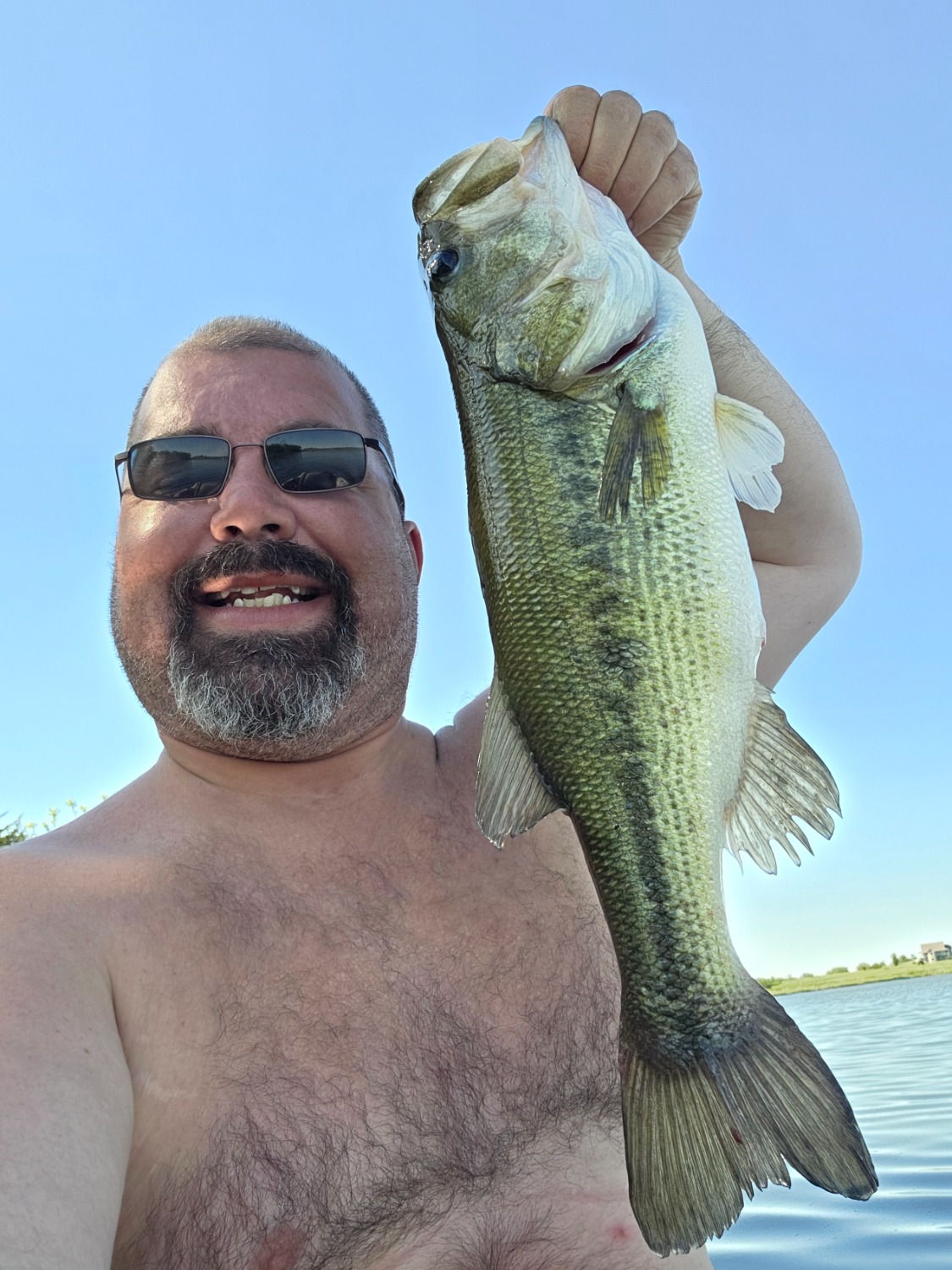 fish