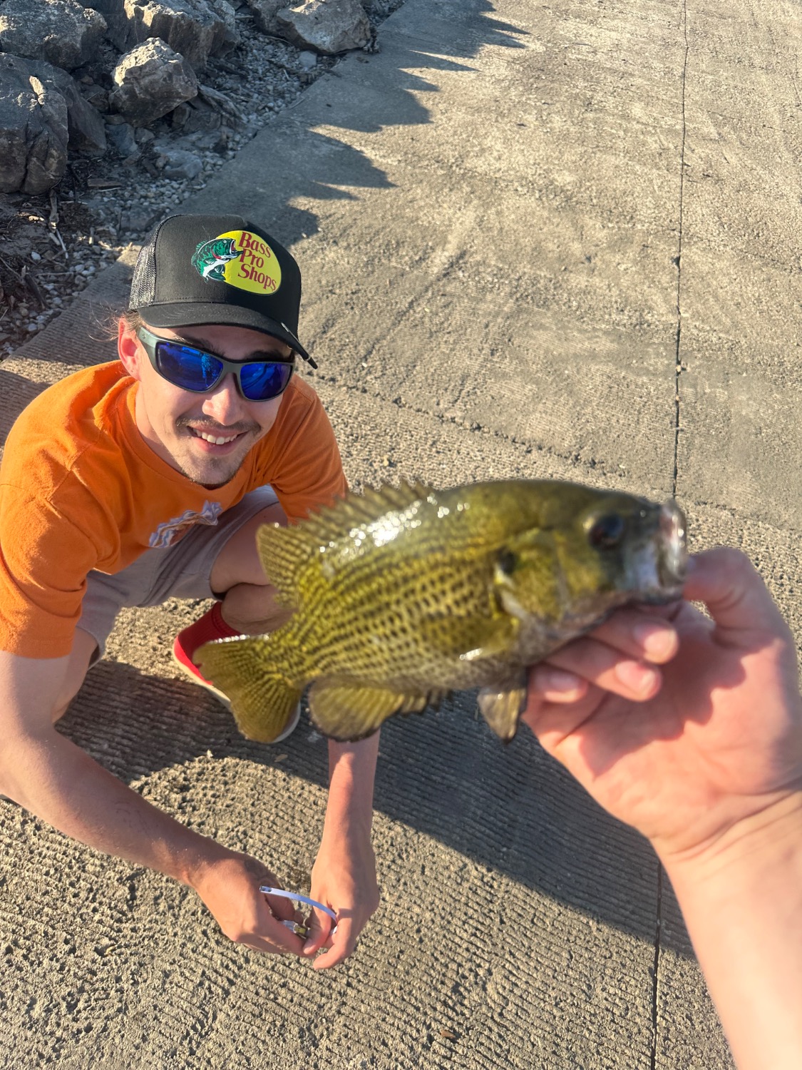 fish