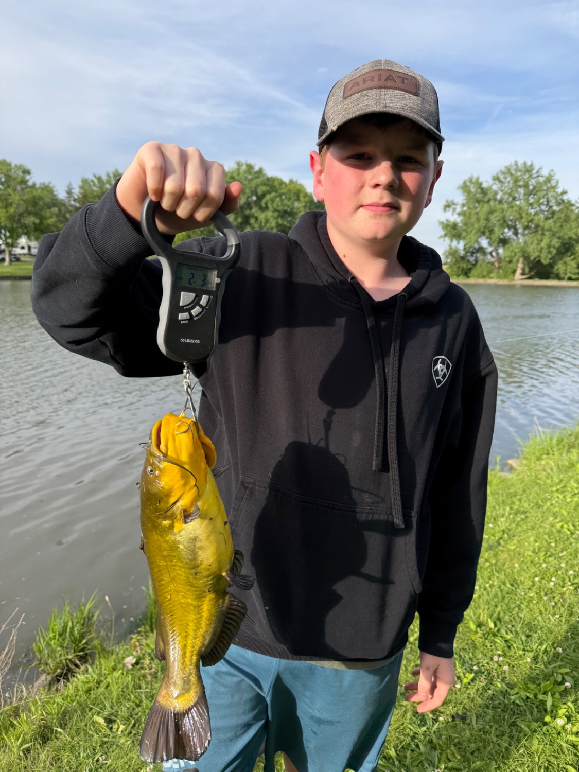 fish