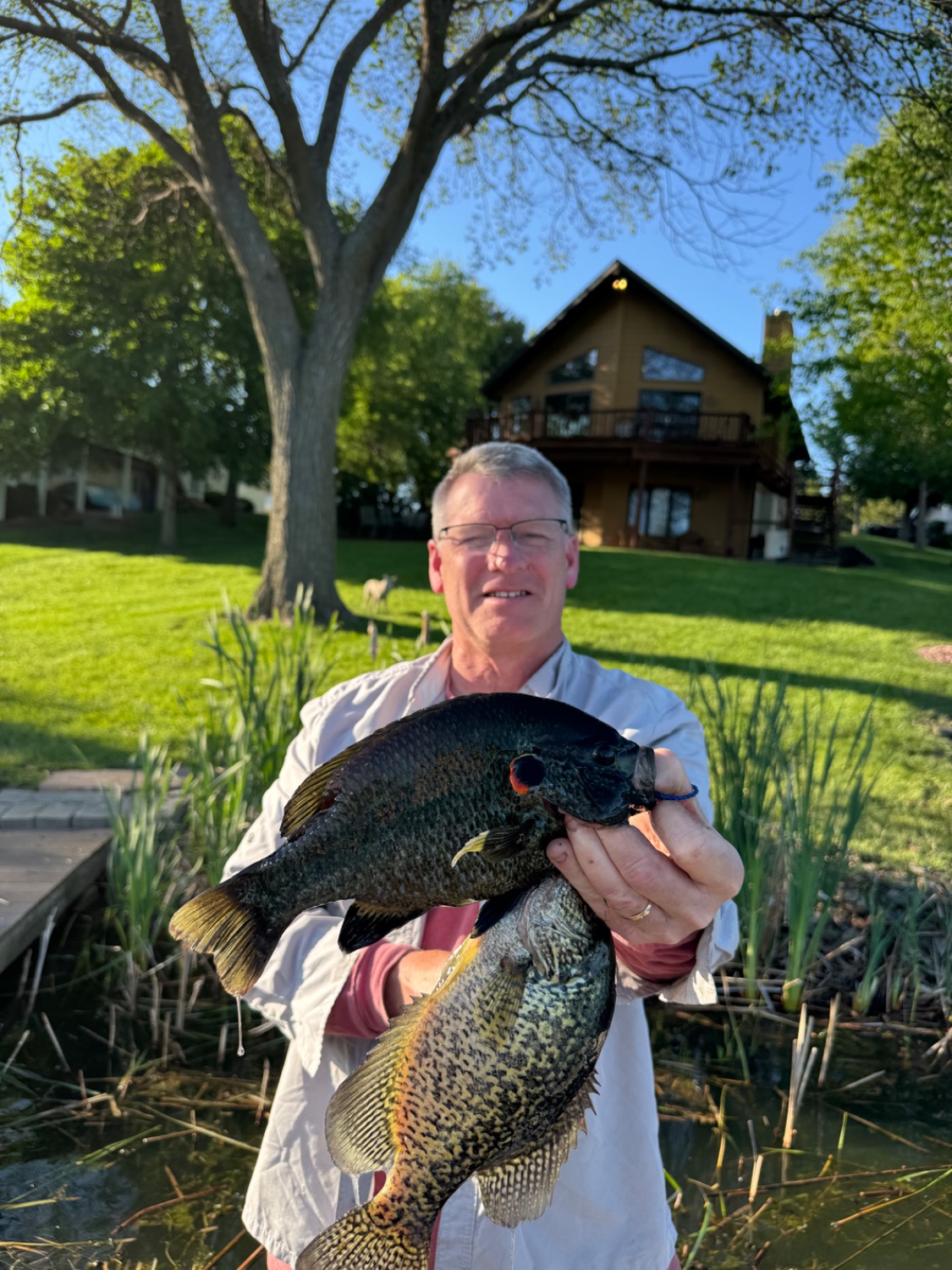fish