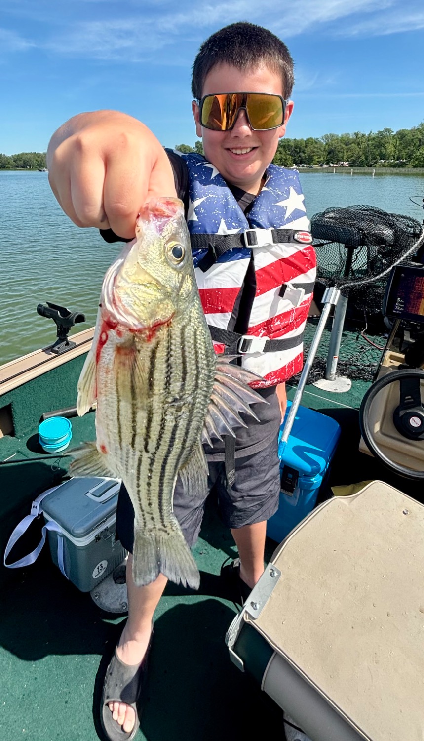 fish