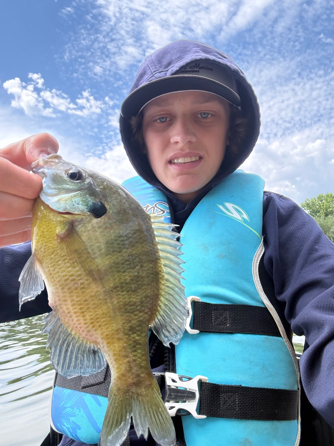 fish