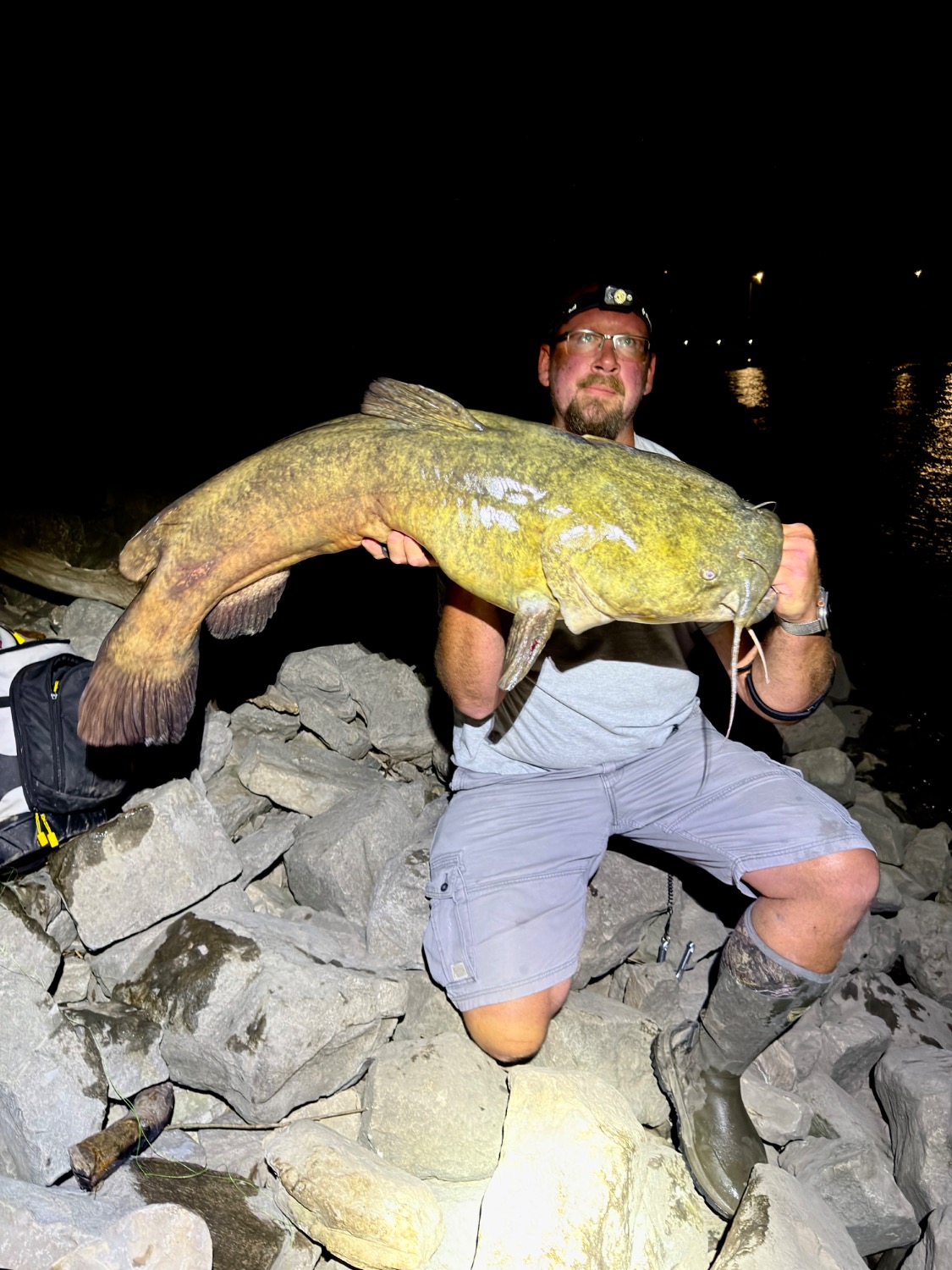 fish