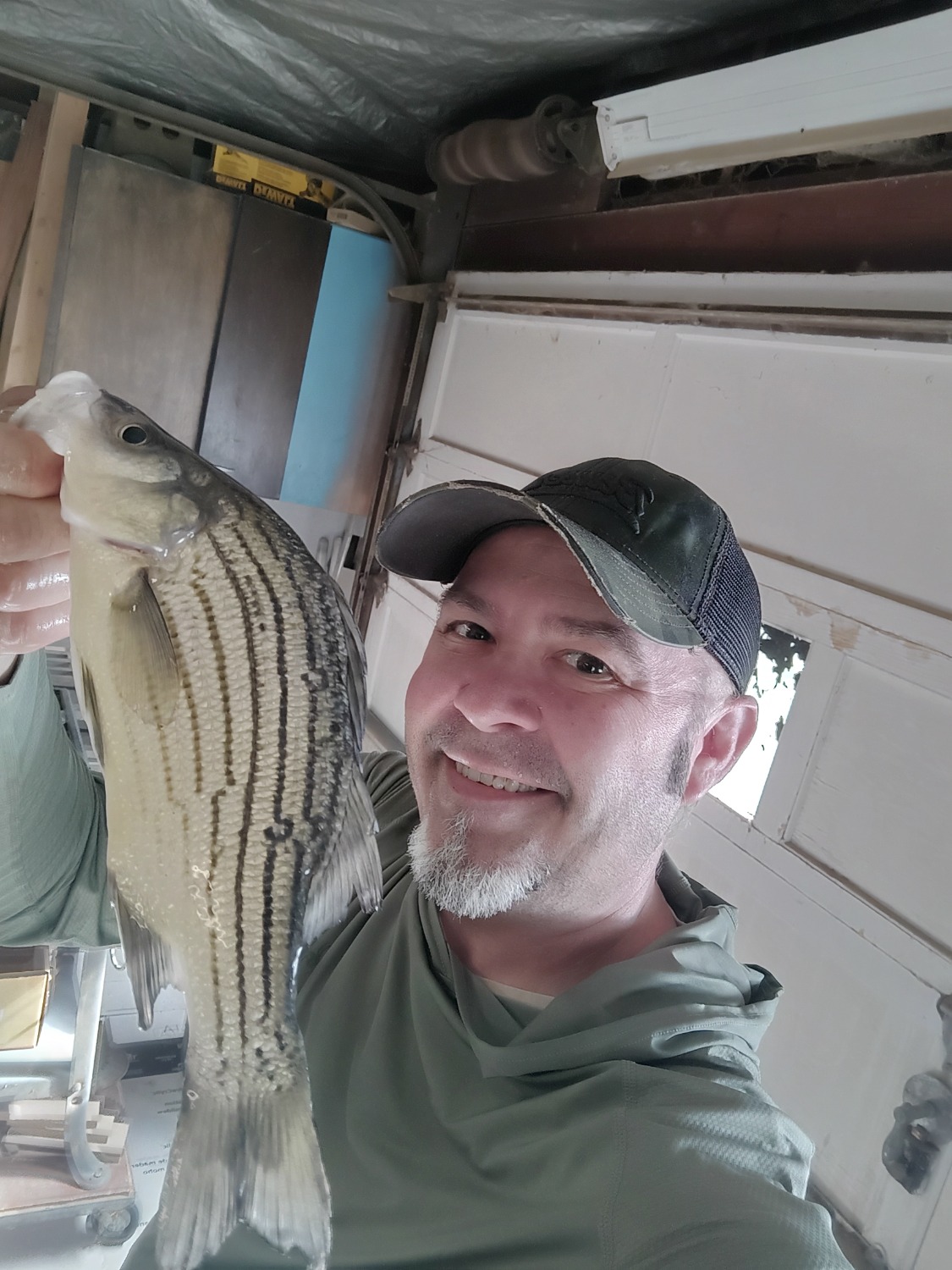 fish