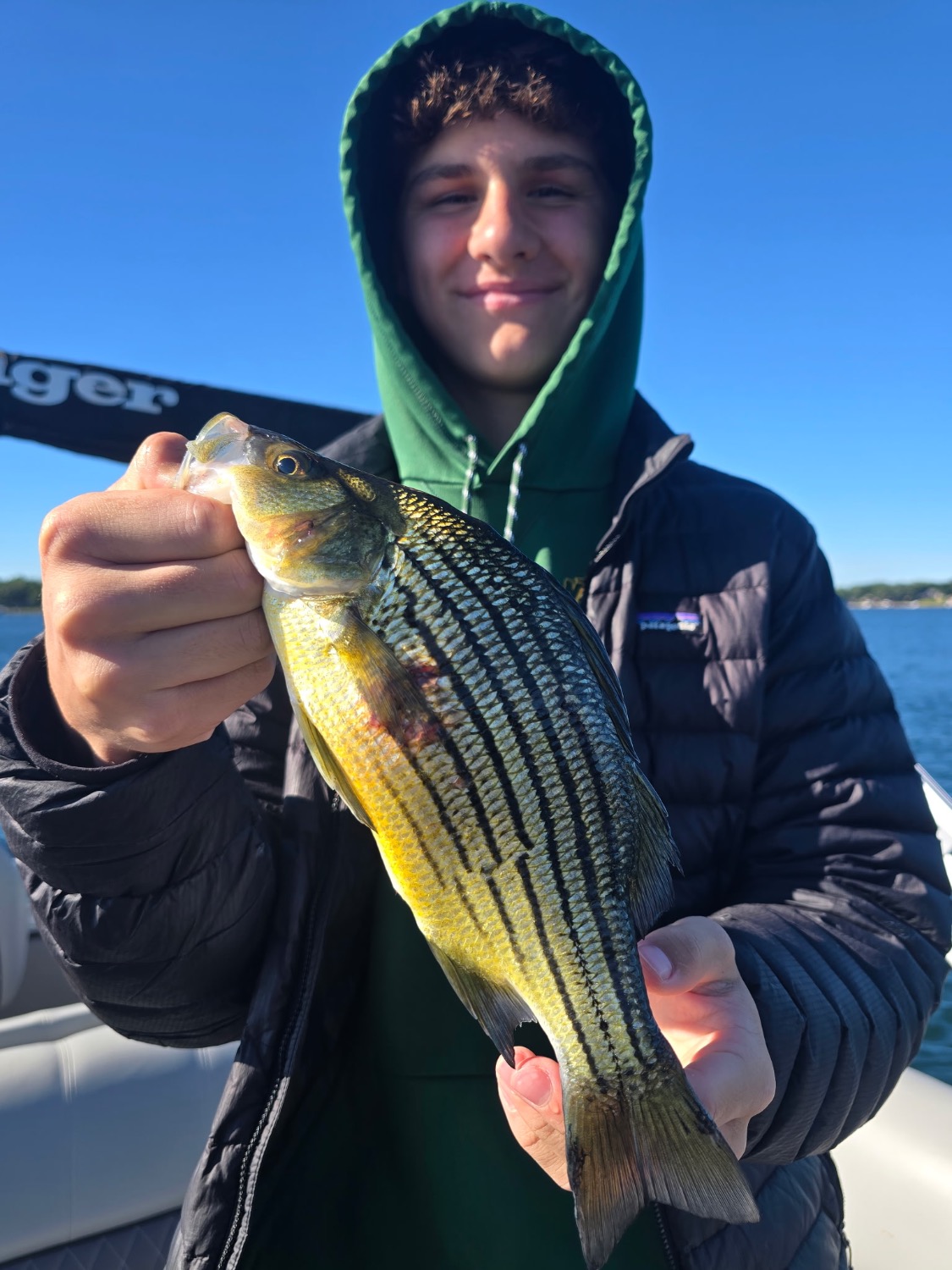 fish