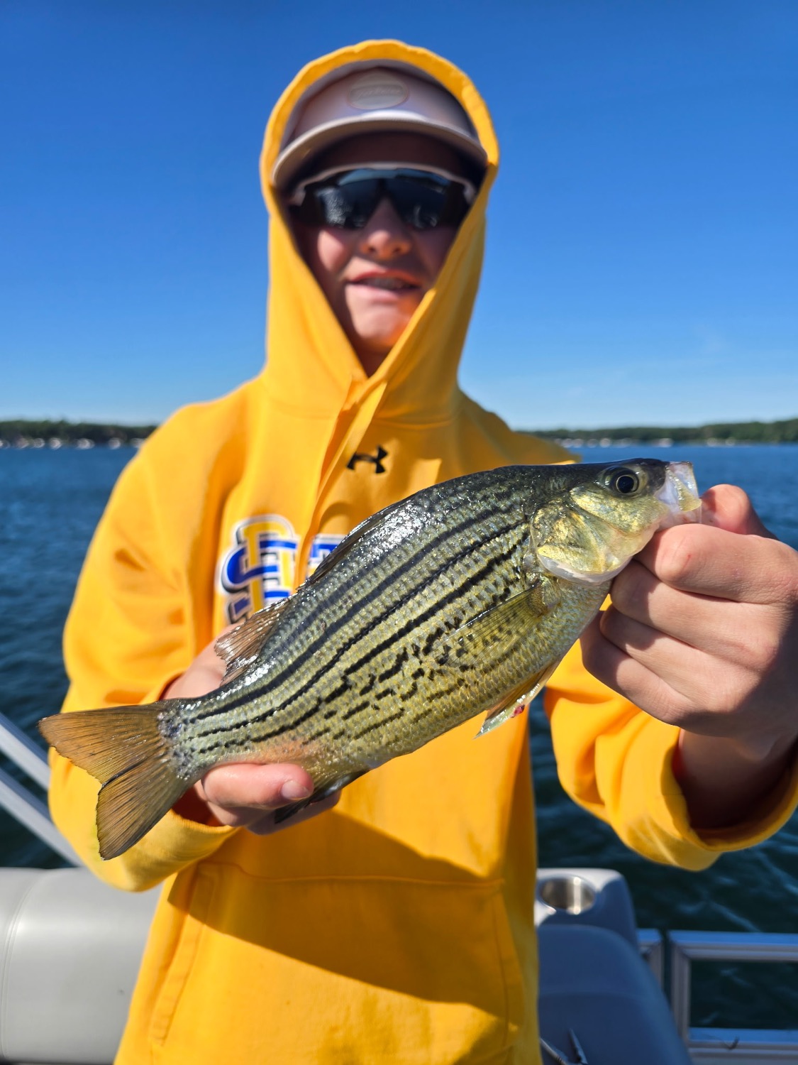 fish