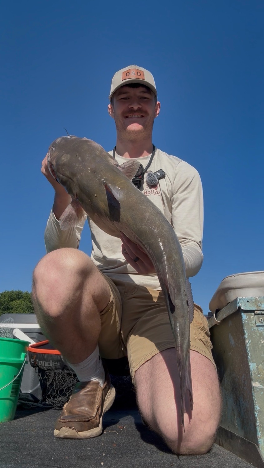 fish